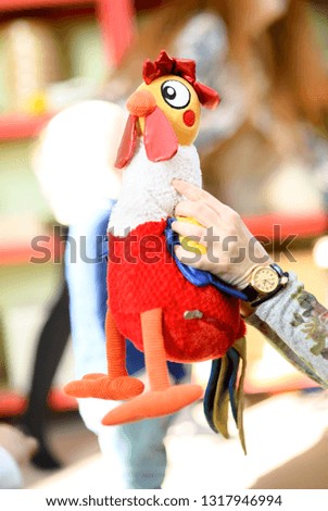 Man holding a toy rag cock