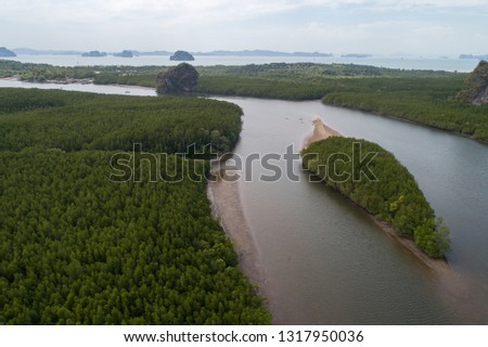 Aerial view mangrove forest