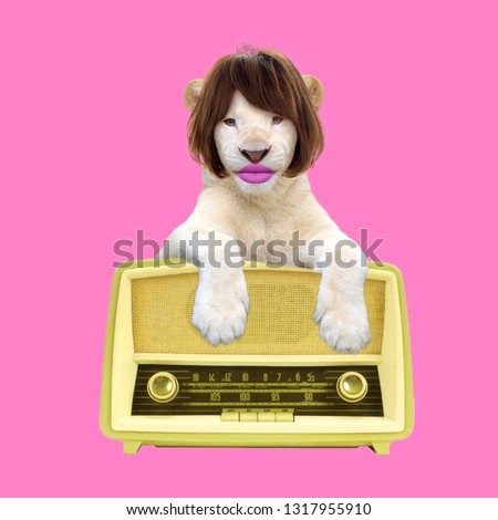 Colorful art collage.  Tiger with peruke and pink lips sitting on yellow retro radio on pink background.