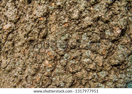 Seamless tree bark background. Brown tileable texture of the old tree.
