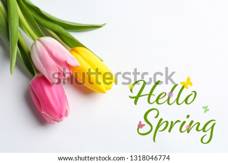 Beautiful flowers and text Hello Spring on white background, top view 
