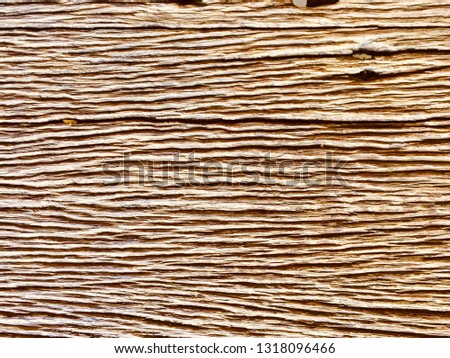 The surface of the old wood is used for the background concept.
