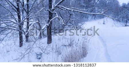 Pictures of winter. Winter transforms the nature around us. Rivers are covered with ice, snow falls asleep all around. Despite the cold - winter is a beautiful time of the year.