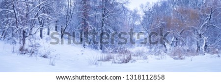Pictures of winter. Winter transforms the nature around us. Rivers are covered with ice, snow falls asleep all around. Despite the cold - winter is a beautiful time of the year.