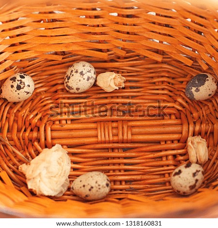 Easter holiday background. Flat-lay of natural colored quail eggs, tender  blossom flowers  in basket, top view, copy space, square crop. Greeting card concept 