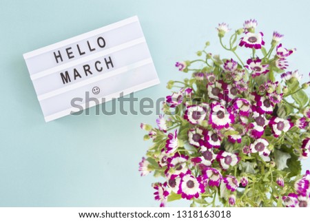 Lightbox with the message Hello March and a smiley emoticon, next to some pink violet flowers on a blue background.