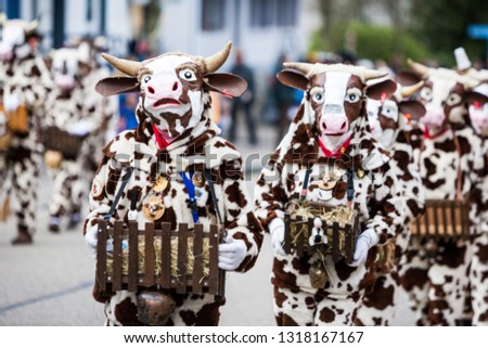 Cows by Masquerade Festival called Narrenumzug. It is a carnival in southern Germany in the period of traditional german celebration called Fasnacht. Event happens every year. It is an old tradition.
