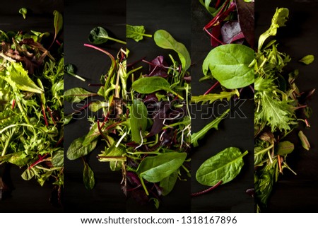 Collage from different pictures of tasty mix salad leaves over dark wood plate, black background. Top view