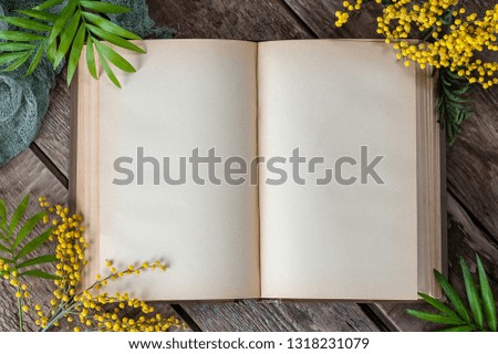 Opened book with blank pages on old wooden table. Background image in spring style.
