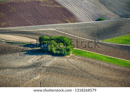House among trees in an agricultural landscape abstract