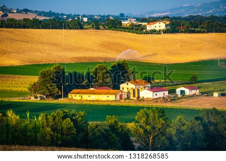 Agricultural landscape of Marche-Italy
