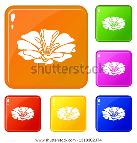 Spring flower icons set collection vector 6 color isolated on white background