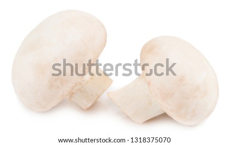  champignon mushrooms isolated on white background, with clipping path.