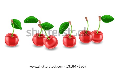 Vector cherries.Realistic vector 3d illustration. Set of cherries isolated on white.
