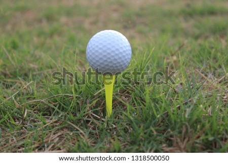 he white golf ball on the green green on the sun shines before the horizon.