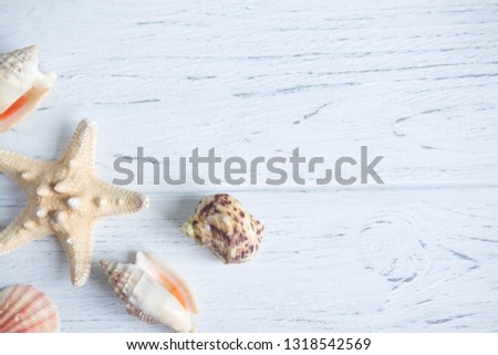 Wooden background white with shells. Frame with seashells on a white background