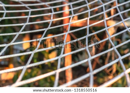 Close-up shoot of white colored web on the sunset timejpg