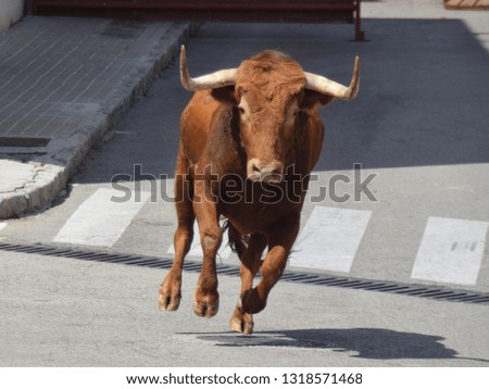 imposing brave bull in the street Royalty-Free Stock Photo #1318571468