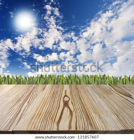 Wood walkway with fresh green grass and blue sky with clouds in the background