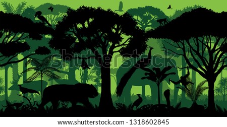 Vector Indian horizontal seamless tropical rainforest Jungle forest background with animals