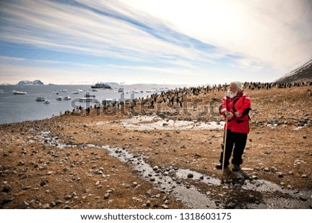 Man admiring the flock of penguins surrounding him on a beach.