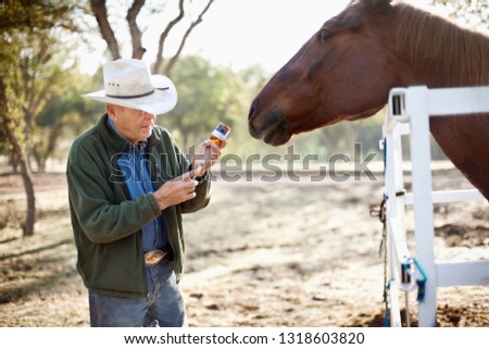 Mature man wearing a cowboy hat carefully fills a hypodermic needle with medicine to inject into a horse waiting in a corral.