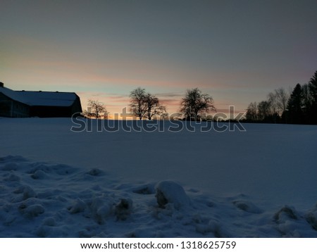 two trees and a snow covered field at sunset with backlit colorful clouds in background in winter