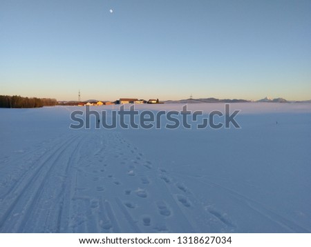 a cross-country skier on a wide track at sunset