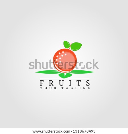 fruits logo template. Vector logo for business corporate. Orange  illustration element.