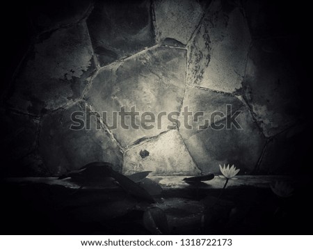 Lotus pond and marble wall that was built at home for rest on free time.dark style picture. copy space for text. backdrop