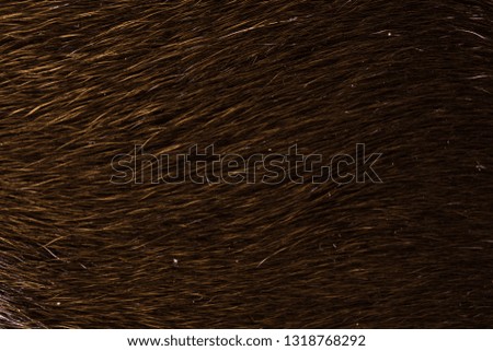 Cow fur background