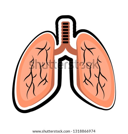 Isolated human lungs. Colored sketch. Vector illustration design
