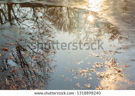 Trees and sky reflections in the puddles in autumn park