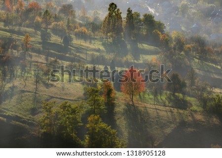 Stunning light creating a wonderful landscape showing the beauty of autumn in a village in the countryside of Maramures county, Romania