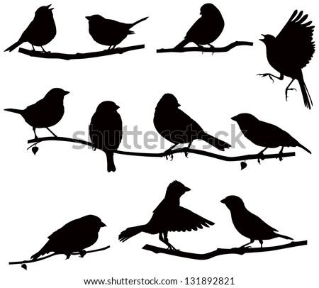 Vector images silhouettes of birds on a branch/ Silhouettes bird on a branch