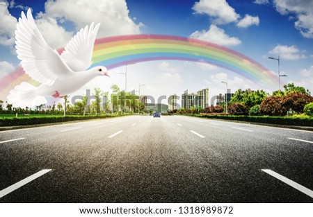 A free white dove flying in a modern city with greenery.