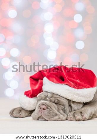 Mastiff puppy in red santa hat sleeping with Christmas tree on background