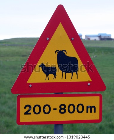 Isolated attention sheep crossing sign, Iceland