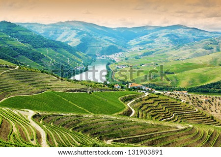 Vineyards in Douro Valley, Portugal, Portuguese port wine Royalty-Free Stock Photo #131903891
