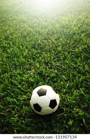 football green grass ball stadium football field game sport background for design