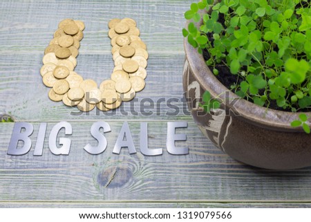 Image perfect for congratulations on St. Patrick's day, for website design or printing products. Horseshoe and clover - symbols of happiness, sovereign - sign of success and wealth. close-up, flat lay
