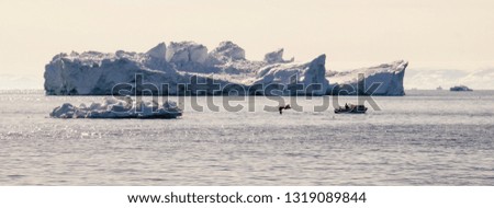 Icebergs floating in the ocean the Ilulissat Icefjord in Greenland.