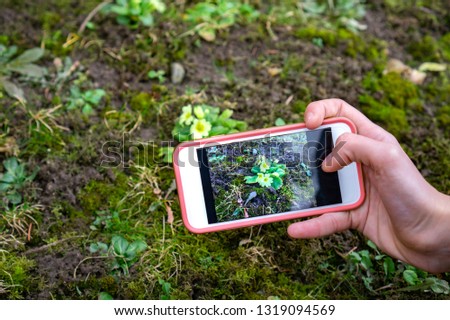 plant identification handbook application use technlolgy in the nature uplugged