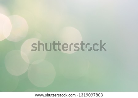 blurred green nature background with natural light with copy space.