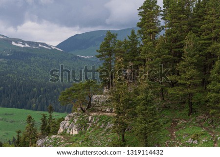 Rocky slope on the background of gentle mountains. Pine forest on the slope and gray clouds.