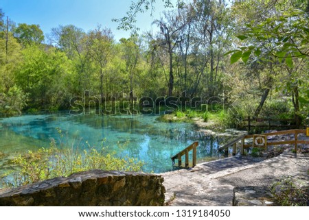 Located in Florida, Ichetucknee Springs State Park is a popular place for tubing, kayaking and other water sports.  The beautiful turquoise headwaters are a magical and contemplative place to visit. Royalty-Free Stock Photo #1319184050