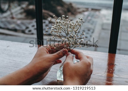 White flower holding with two hand near window