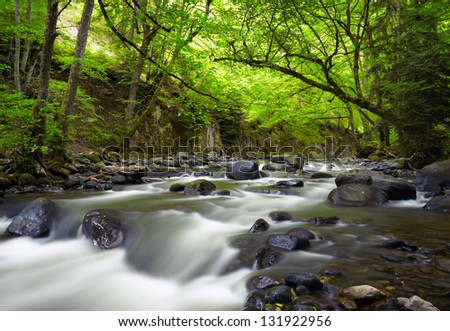 Mountain River in the wood Royalty-Free Stock Photo #131922956
