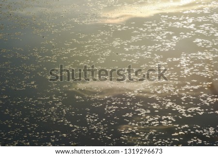 An abstract lake surface at sunset