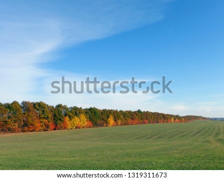 October. Paints on autumn canvas. Ukraine landscape